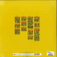 Back View : Fatboy Slim - THE BEST OF (180g 2LP) - Skint Records /  405053845572