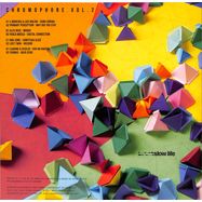 Back View : Various Artists - CHROMOPHORE VOL.2 (2X12 INCH)(VINYL ONLY) - SLOW LIFE / SL033