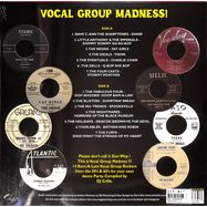Back View : Various Artists - VOCAL GROUP MADNESS! (LTD 180G LP) - Stag-o-lee / 05242861