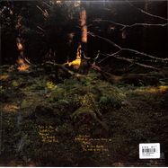 Back View : Anna B Savage - YOU & I ARE EARTH (LP) - CITY SLANG / SLANG50579LP