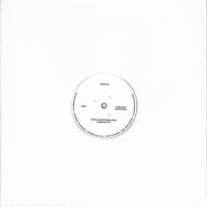 Back View : Aksel & Aino - FADING PICTURES - Public Possession / PP029