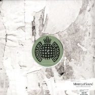 Back View : Big Bass Vs Michelle Narine - WHAT YOU DO - Ministry Of Sound / ministry048