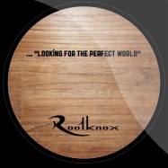 Back View : Brtschitsch/ Mr. Rod - USE IT / PERFECT WORLD! (WOOD LABELS) - Rootknox / ROOTVD006