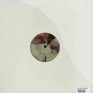 Back View : David Hasert / Bryan Kessler - ANOTHER DAY / SHE ONLY LIKE ME - Like Recordings / Like002