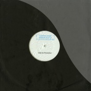 Back View : S.D.M. Feat. Jovon - WHERE DID HOUSE GO (CLEAR VINYL & LABEL STAMPED SLEEVE) - Millions Of Moments / MOM028