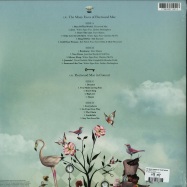 Back View : Various Artists / Fleetwood Mac - THE MANY FACES OF FLEETWOOD MAC (COLOURED 180G 2LP) - Music Brokers / VYN030