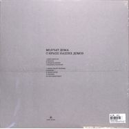 Back View : Molchat Doma - S KRYSH NASHIKH DOMOV (LTD GREY MARBLED LP) - Sacred Bones / SBR3036LPC4 / 00150667