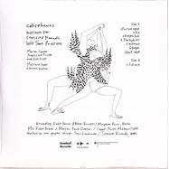 Back View : Institute For Certified Nomadic Illicit Sonic Practices - CALISTHENICS (LP) - Seminal Records / 085