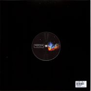 Back View : Various Artists - CONFESSIONS - Theoretical Rhythms / THEORHY009