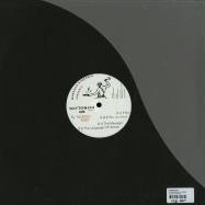 Back View : Ricardo Baez - THE MESSAGE (SEI A REMIX) - Toy Tonics / TOYT009