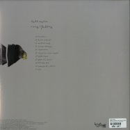 Back View : Daze Maxim - RISING / FALLING (3X12 LP) - Hello? Repeat Records / HELLO026LP