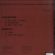 Back View : Ingleton Falls - CHAMPAGNE IN MOZAMBIQUE - Isle Of Jura Records / ISLELP002