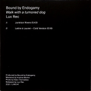Back View : Bound By Endogamy - WALK WITH A TUMORED DOG (7 INCH) - Lux Rec / LXRC47