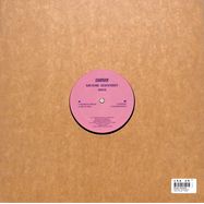 Back View : Blame The Mono - SUSTAIN THE RIGOUR - Taapion Records / TPN020