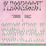 Back View : Flabbergast - CONSOLATION IN CONSTELLATION (LP) - Chapelle XIV Music / CHXIV016