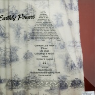 Back View : Pollyester - EARTHLY POWERS (LP) - Permanent Vacation / permvac079-1