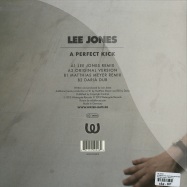 Back View : Lee Jones - A PERFECT KICK, MATTHIAS MEYER REMIX , DARIA, LEE JONES MIXES - Watergate Records / WGVINYL12