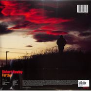 Back View : Richard Hawley - FURTHER (LP) - BMG RIGHTS MANAGEMENT / 405053847863