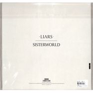 Back View : Liars - SISTERWORLD (LTD.GOLD RECYCLE COL.LP+MP3) (INDIES+MAILORDER ONLY!) - Mute / XSTUMM315