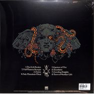 Back View : The Wizards - THE EXIT GARDEN (ORANGE VINYL) (LP) - High Roller Records / HRR 942LPO