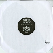 Back View : Sting - INSIDE (TIMMY REGISFORD & ADAM RIOS REMIX) - TA01t