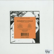 Back View : Daniele Ciullini - DOMESTIC EXILE COLLECTED WORKS 82 - 86 (LP) - Ecstatic / ELP009