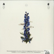 Back View : Ekolali - GENOM GRUNDET (LP) - Patience / PTNC001