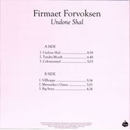Back View : Firmaet Forvoksen (Gaute Granli & Thore Warland) - UNDONE SHAL (LP) - KRAAK / K116