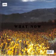 Back View : Brittany Howard - WHAT NOW (1LP) - Island / 5859747