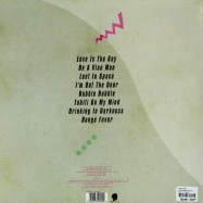 Back View : Peter Visti - LOVE IS THE KEY (2X12 LP) - Bearfunk / bfklp017