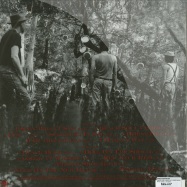 Back View : Sixteen Horsepower - SACKCLOTH N ASHES (LP, 180GR VINYL) - Music On Vinyl / movlp533