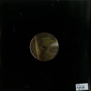 Back View : Arcarsenal - DARK SKIES & WETLANDS - Finale Sessions Limited / FSL 001