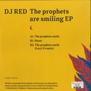 Back View : DJ Red - THE PROPHETS ARE SMILING EP (LORY D REMIX) - Danza Tribale Italy / DNZT006