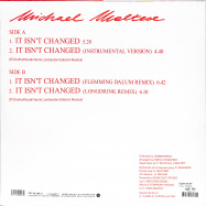 Back View : Michael Maltese - IT ISN T CHANGED - Zyx Music / MAXI 1038-12