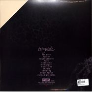 Back View : Rampue - TRAGWEITE (2LP) - Hold Your Ground / HYG023