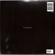 Back View : Pvris - EVERGREEN (coloured LP) - Hopeless / HR68021