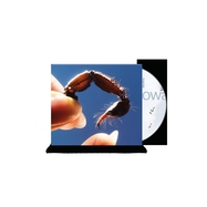 Back View : Squid - COWARDS (CD) - Warp Records / WARPCD368