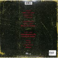 Back View : Counting Crows - RECOVERING THE SATELLITES (2LP) - UNIVERSAL / 6025579760