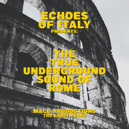 Back View : The True Underground Sound Of Rome - THE TRUE UNDERGROUND SOUND OF ROME (2LP) - Jungle Fantasy, Space Echo Records / SEJFLP006