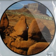 Back View : Billy Dalessandro - BOOMERS (PIC DISC) - Soniculture 19