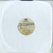 Back View : Jesse Outlaw Ft. Bill Beaver - LUV U DEEPER (ANTHONY NAPLES REMIX) - DS Records / DSR011