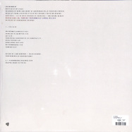 Back View : My Disco - ENVIRONMENT (LP) - Downwards / DN024LP