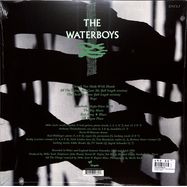 Back View : The Waterboys - A PAGAN PLACE (180G REMASTERED) (LP) - Chrysalis / ENCL3