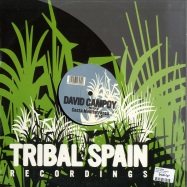 Back View : David Campoy - COSTA MEDITERRANEA - Tribal Spain / trmx06