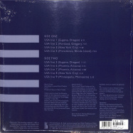 Back View : Cluster - USA LIVE (LP) - Bureau B / BB1731 / 05988411