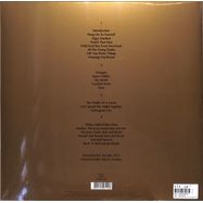 Back View : OST / David Bowie - ZIGGY STARDUST AND THE SPIDERS FROM MARS: (gold 2LP) - Parlophone Label Group (plg) / 505419756115