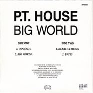 Back View : PT House - BIG WORLD - Afrosynth / AFS056