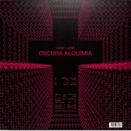 Back View : Dani Labb - OSCURA ALQUIMIA - Desencanto / DSEN003
