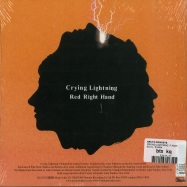 Back View : Arctic Monkeys - CRYING LIGHTNING (7 INCH) - Domino / RUG338