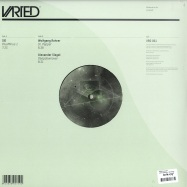 Back View : SiD, Wolfgang Rohrer, Alexander Siegel - PlusMinus 1 EP - VARIED Records / Varied001